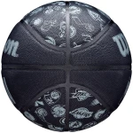 wilson-nba-all-team-in-out3.jpg